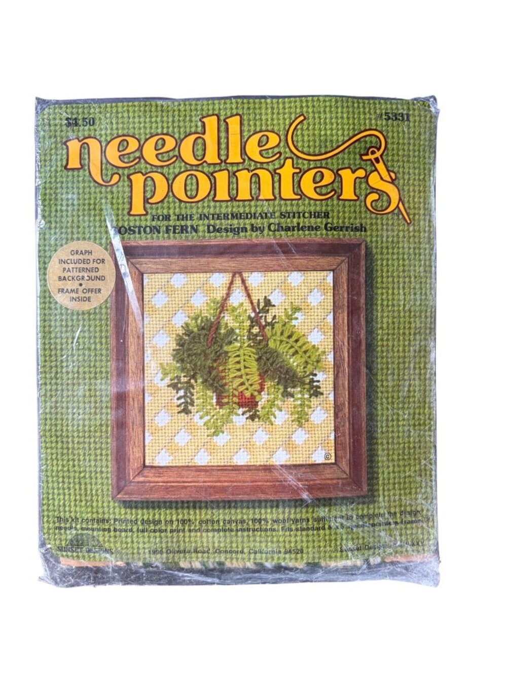 Sunset Designs Needlepoint Kit Boston Fern Hanging Plant 5531 Vintage 1970s